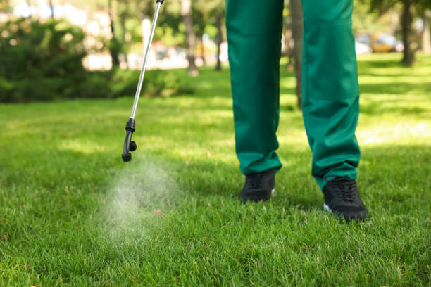 Best Pest Control Cost  in Jonesboro, IL