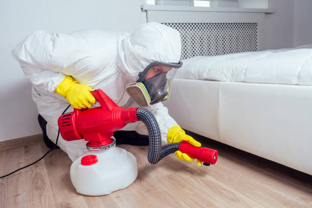 Best Termite Control Services  in Jonesboro, IL