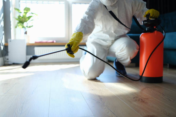 Best Flea Control Services  in Jonesboro, IL